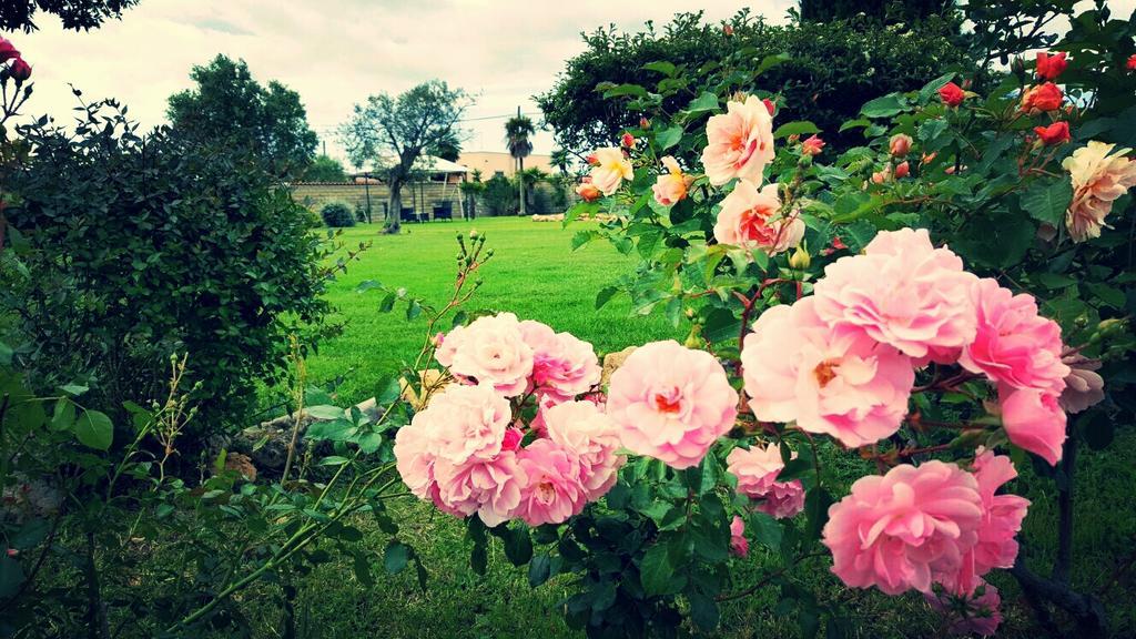 Villa Elegance Ladispoli Bagian luar foto