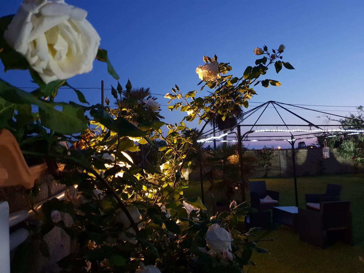 Villa Elegance Ladispoli Bagian luar foto