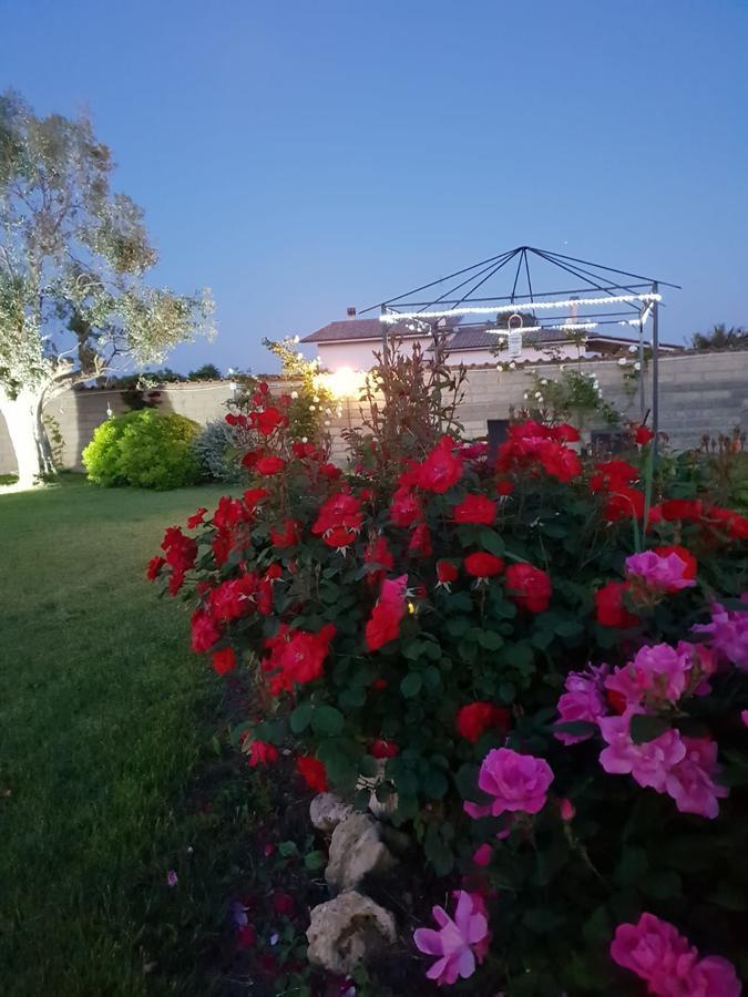 Villa Elegance Ladispoli Bagian luar foto